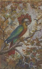 Parrot, 1909.