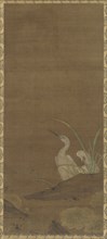 Herons and Water Plants, 1368-1644.