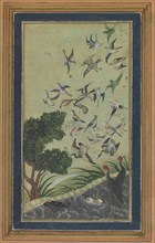 Birds at Baran, possibly from the Babur-nama, late 16th century.