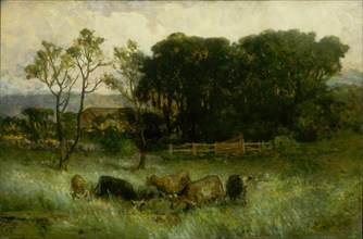 Untitled (five cows in pasture), ca. 1884-1886.