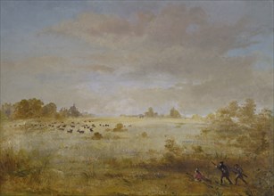 Elk Grazing on an Autumn Prairie, 1846-1848.