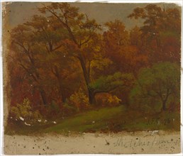 Untitled, 1876.