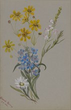 (Untitled, Group of Flowers), 1883.