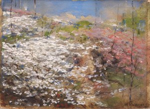 Field of Blossoms, 1927.
