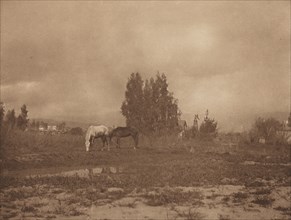 Pasadena Landscape, 1899.