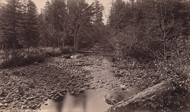 Marion River at Bassett's Camp, c. 1885.