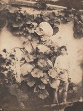 Boy with a Pumpkin Vine, 1854.