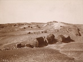 In the Petrified Forest (General View, Middle Park), c.1895-1897.