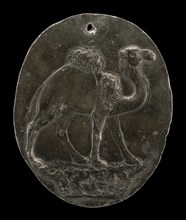 Arabian Camel (or Dromedary), c. 1570s/1580s.