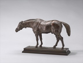 Half-Blooded Horse, with Head Down, model n.d., cast c. 1845/1873.