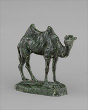 Persian Camel, model n.d., cast by 1874.