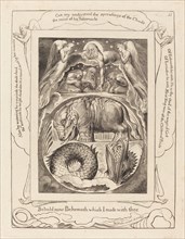Behemoth and Leviathan, 1825.