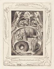 Behemoth and Leviathan, 1825.