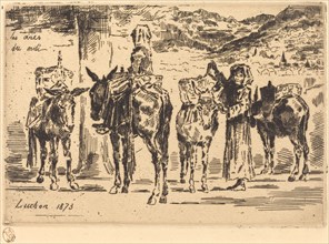 Feuilles d'Anes du Midi (Sheet of Donkeys from the South), 1873.