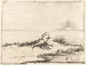 Crayfish Looking at the Sun, 1628.