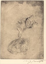 Katzenstudie (Study of Cats), 1920.