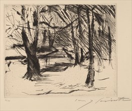Bäume mit Sonne (Trees in the Sun), 1920-1921.