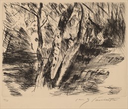 Birkenstämme im Tiergarten (Birch Trees in the Tiergarten), 1920-1921.