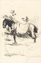 Reitpferd (Riding-Horse), 1916.