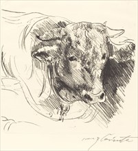 Stierkopf (Head of a Steer), 1912.