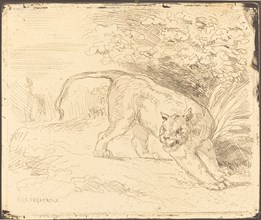 Tigre en arrêt, 1854.