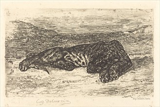 Tiger Sleeping in the Desert (Tigre couché dans le désert), 1846.