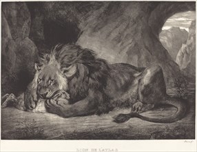 Lion of the Atlas Mountains (Lion de l'Atlas), 1829.