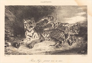 Young Tiger Playing with its Mother (Jeune tigre jouant avec sa mère), 1831.