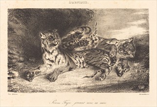Young Tiger Playing with its Mother (Jeune tigre jouant avec sa mère), 1831.
