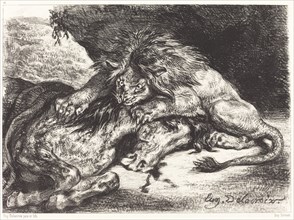 Lion Devorant un Cheval (Lion Devouring a Horse), 1844.