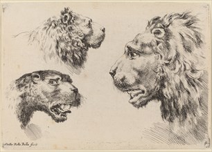 Three Lion Heads, probably 1649.