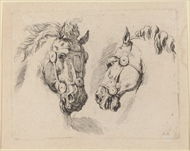 Two Horse Heads, probably 1649.