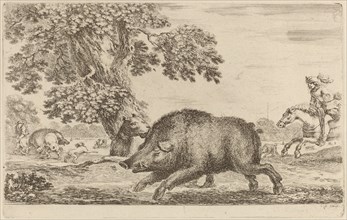 Boar Running to the Left.