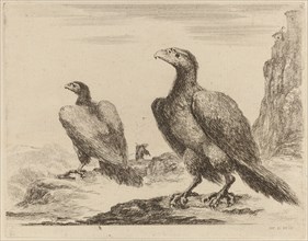 Two Eagles, Both with Heads Turned to the Left, On a High Cliff.