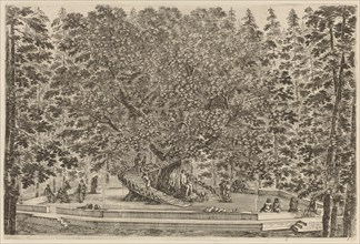 The Inhabited Tree, probably 1653.