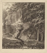 Wooded Landscape with a Pollarded Tree, 1764.