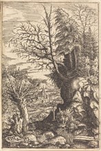 Landscape with a Willow, 1553.
