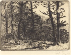 Woods in Winter Sun, 2nd plate (Soleil d'hiver dans les bois).