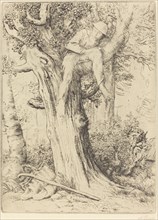 Landscape with a Boy in a Tree (Paysage avec un garcon gimpe sur un arbre dite "Le denicher d'oiseaux).