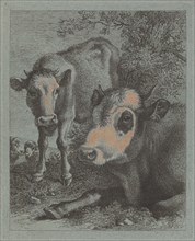 Reclining Cow and Calf in the Open, 1758/1759.