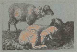 Two Reclining Sheep and One Standing Sheep, 1757/1758.