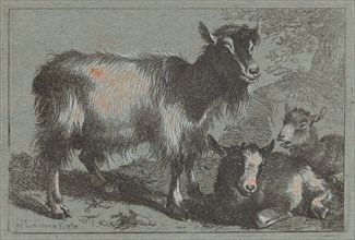Goat and Two Kids, 1758.