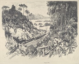 The Jungle, 1912.