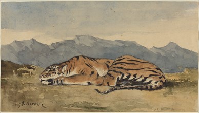 Tiger, c. 1830.