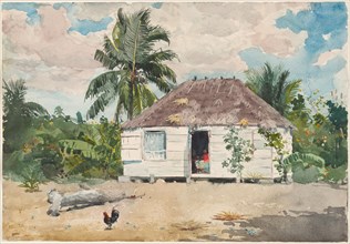 Native hut at Nassau, 1885.