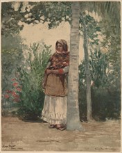 Under a Palm Tree, 1886.
