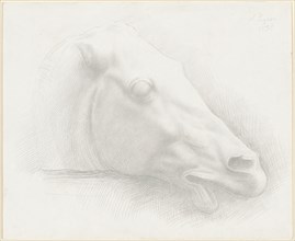 Head of a Horse from the Parthenon, 1898.