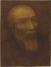 Head of a Bald Man with a Beard, 1906.