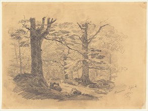 Forest, Ramsau, Germany, 1871.