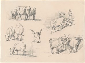 Studies of Cattle, c. 1872.